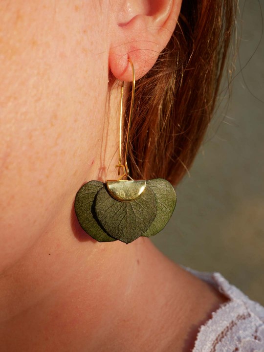 Boucles d'oreille éventail en véritable eucalyptus stabilisé