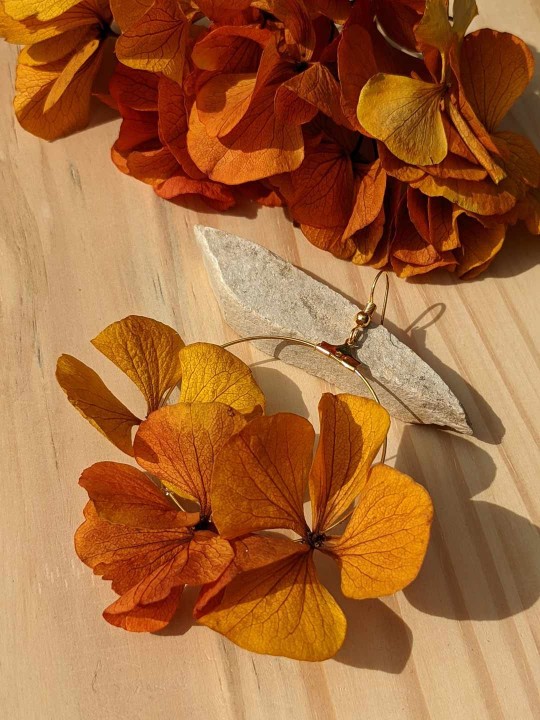 Créoles en fleurs stabilisées, hortensia safran orangé