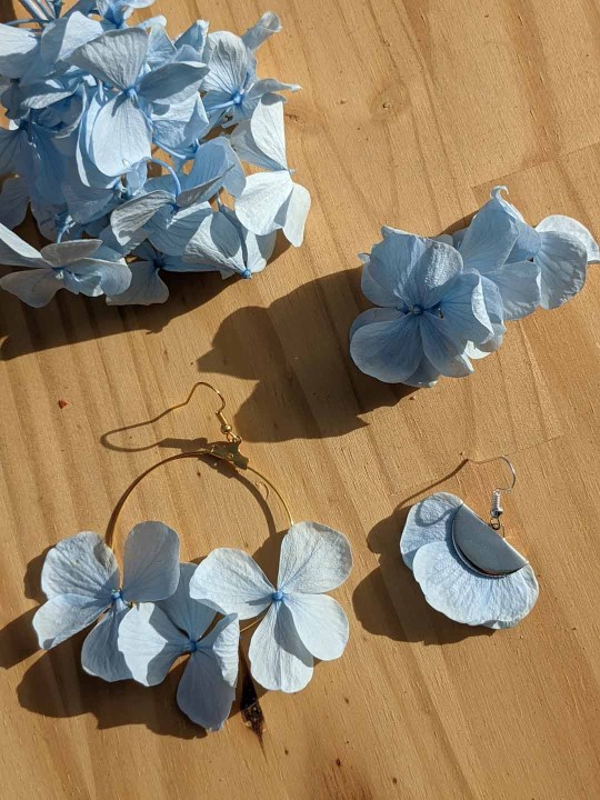 Créoles en fleurs stabilisées, hortensia bleu ciel