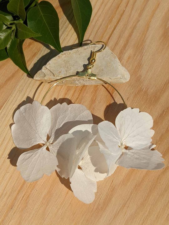 Créoles en fleurs stabilisées, hortensia blanc