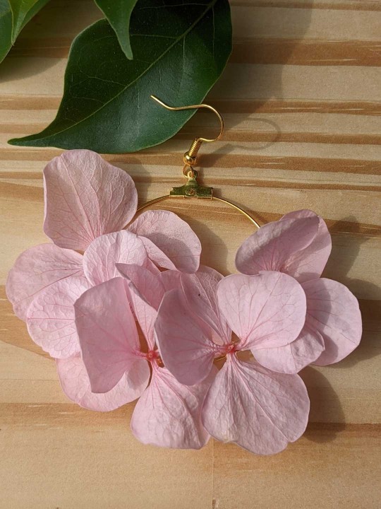 Créoles en fleurs stabilisées, hortensia rose 