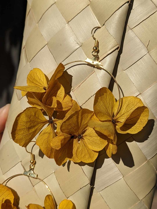 Créoles en fleurs stabilisées, hortensia jaune safran