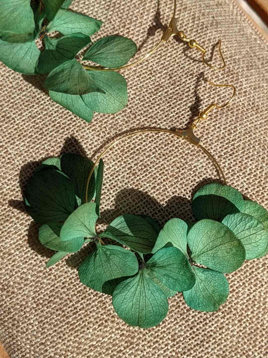 Créoles en fleurs stabilisées, hortensia vert