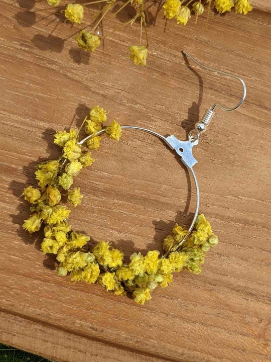 Créoles en fleurs éternelles gypsophile jaune