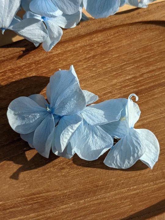 Barrette en grandes fleurs stabilisées, hortensia bleu ciel