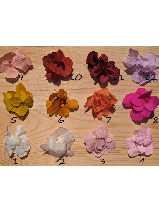 Boucles d'oreille éventail en fleurs stabilisées hortensia (+20 couleurs)