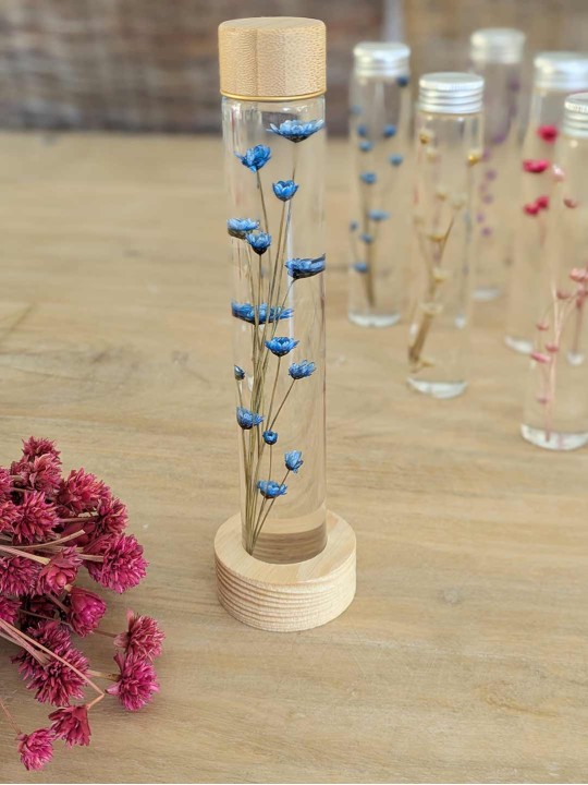 Fleur immergée blanche Fleur immergée blanche