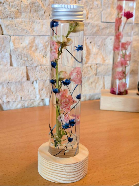 Fleur immergée bleue rose Fleur immergée bleue rose