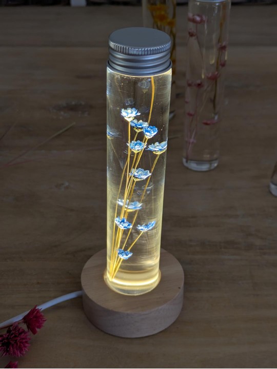 Fleur immergée blanche