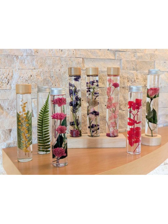 Fleur immergée Rose Fleur immergée Rose