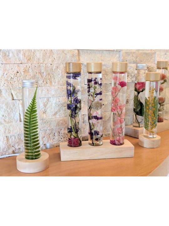 Fleur immergée Rose Fleur immergée Rose