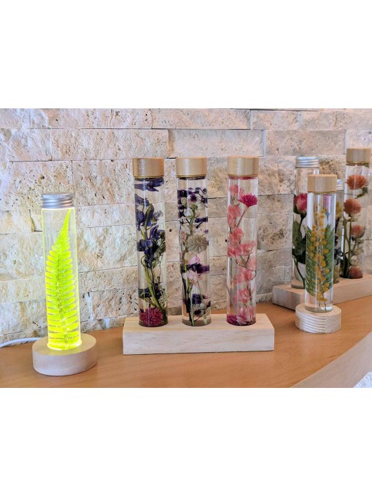 Fleur immergée Rose Fleur immergée Rose