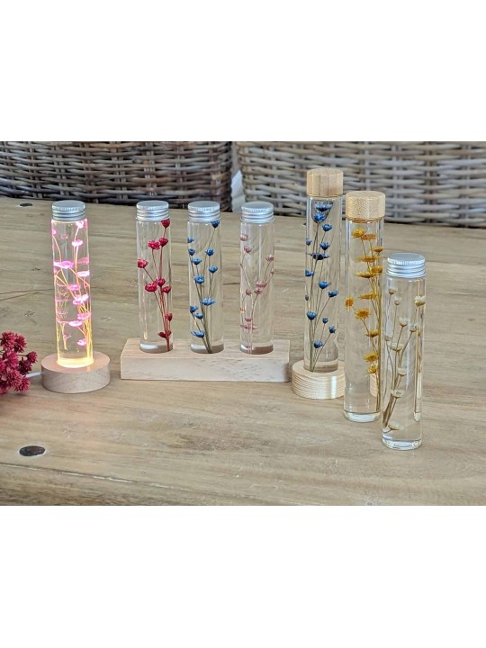 Fleur immergée fuschia Fleur immergée fuschia