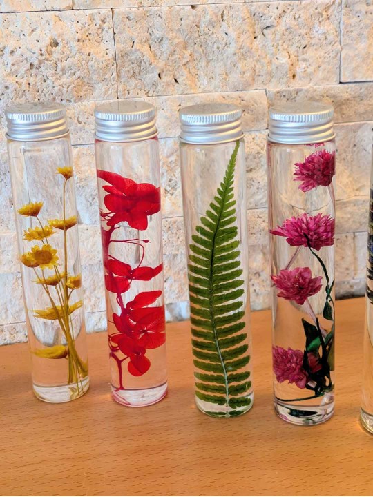 Fleur immergée Rose Fleur immergée Rose