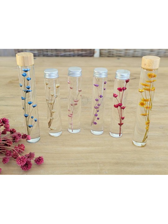 Fleur immergée fuschia Fleur immergée fuschia