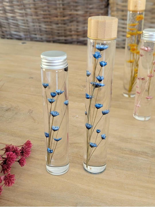 Fleur immergée fuschia Fleur immergée fuschia