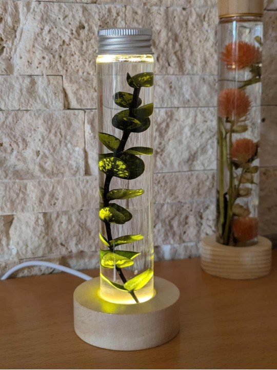 Fleur immergée eucalyptus