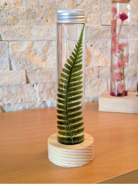 Fleur immergée fougère Fleur immergée fougère