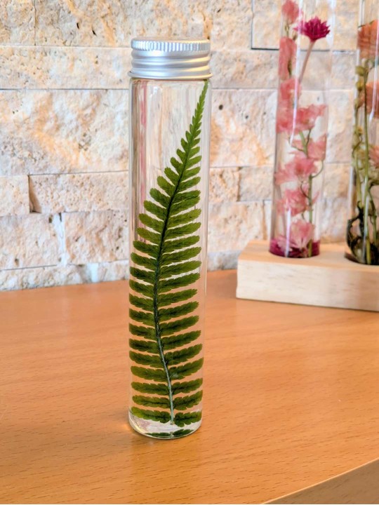 Fleur immergée fougère