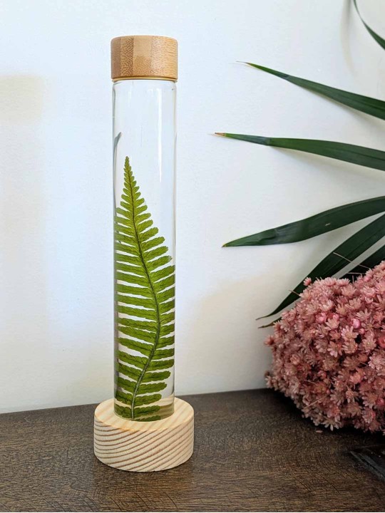 Fleur immergée fougère