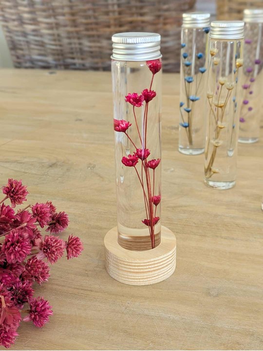 Fleur immergée fuschia Fleur immergée fuschia