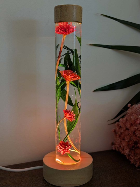 Fleur immergée fuschia Fleur immergée fuschia