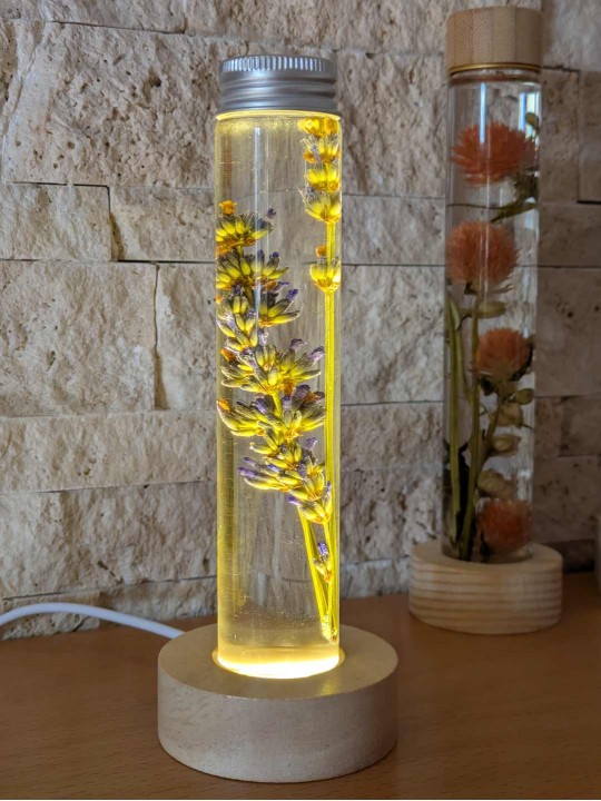 Fleur immergée lavande