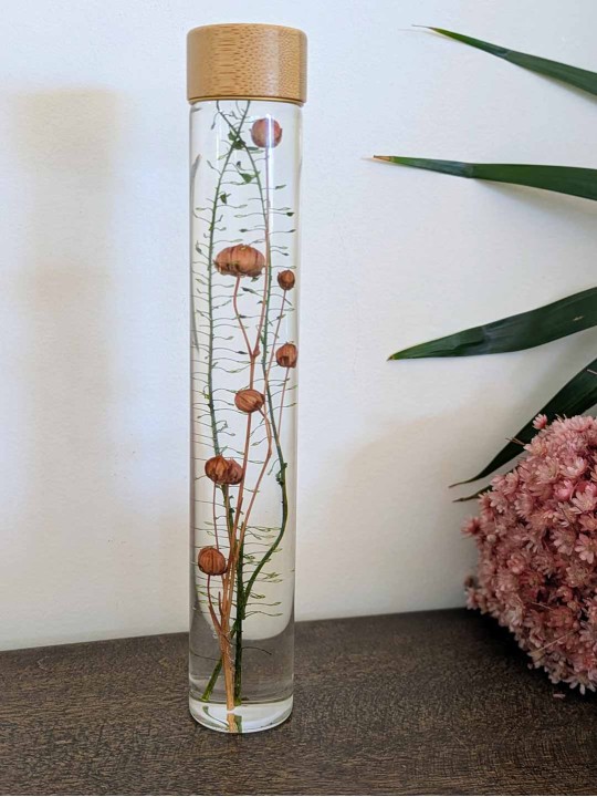 Fleur immergée vert / graines de lin Fleur immergée vert / graines de lin