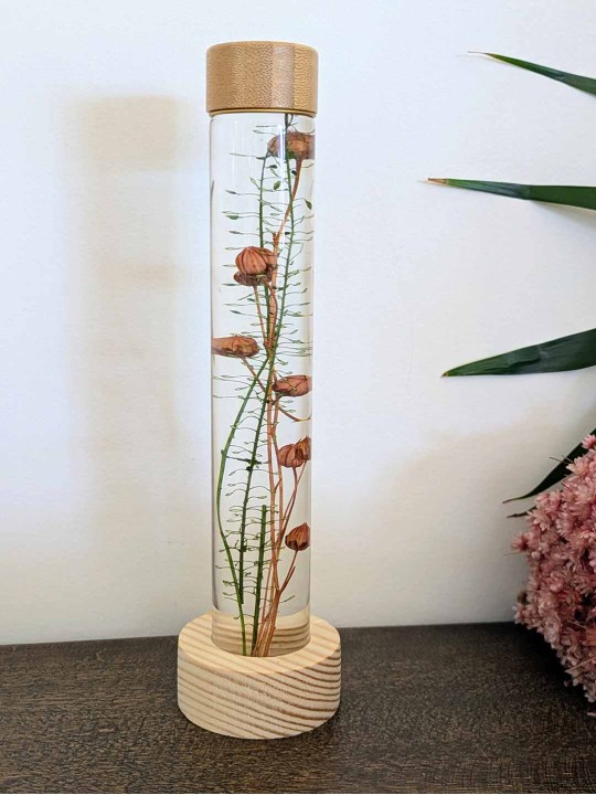 Fleur immergée vert / graines de lin