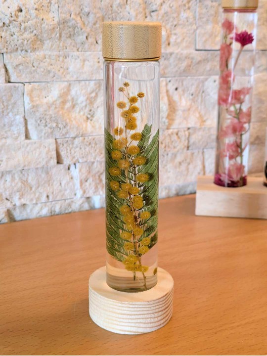 Fleur immergée mimosa