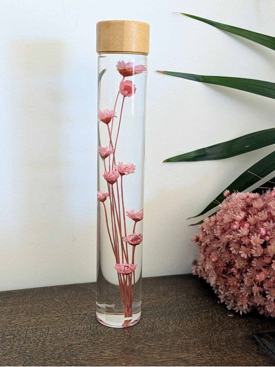 Fleur immergée rose