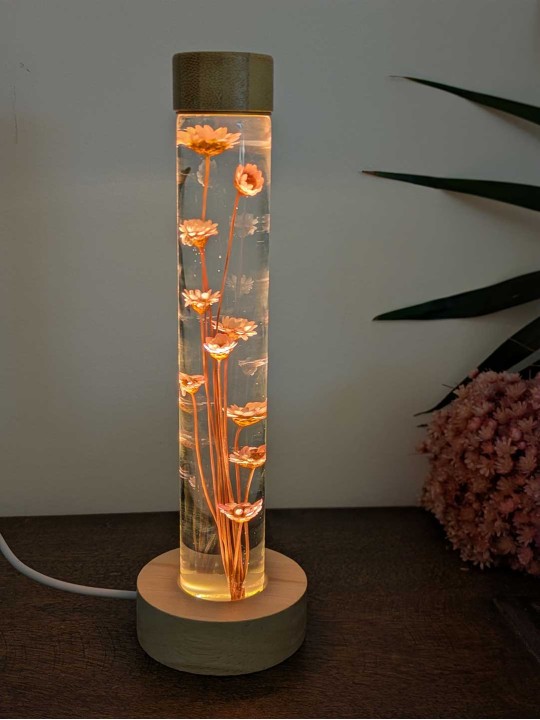 Fleur immergée rose