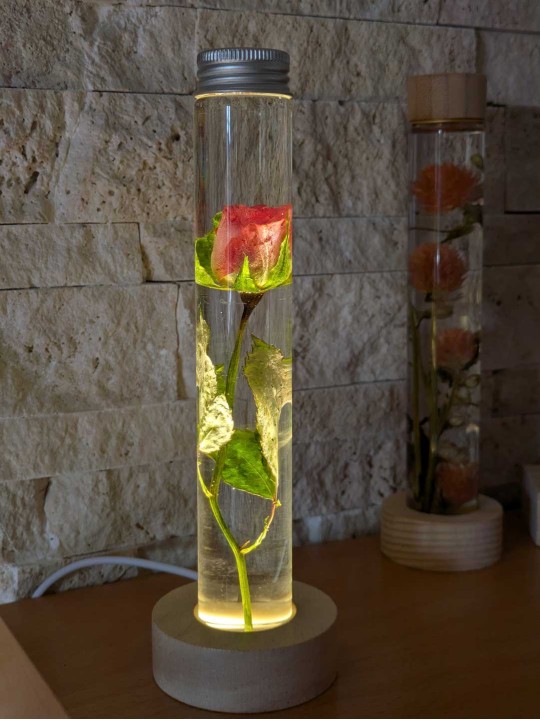 Fleur immergée Rose