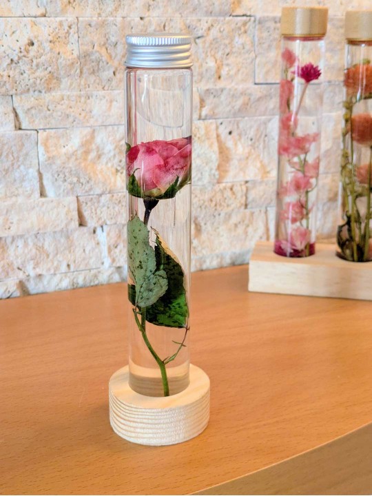 Fleur immergée Rose Fleur immergée Rose