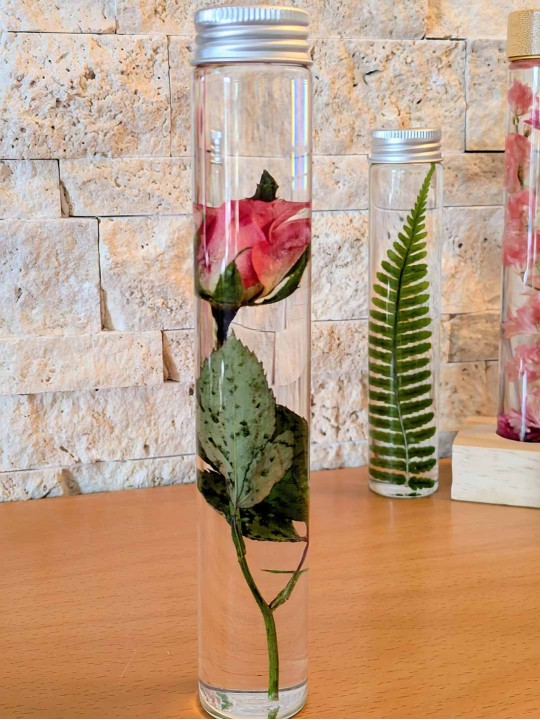 Fleur immergée Rose Fleur immergée Rose