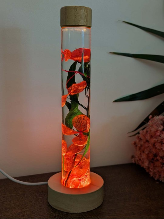 Fleur immergée rouge vert Fleur immergée rouge vert