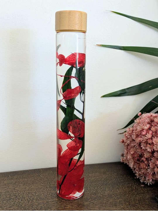 Fleur immergée rouge vert Fleur immergée rouge vert