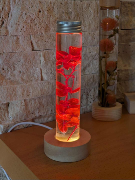 Fleur immergée rouge