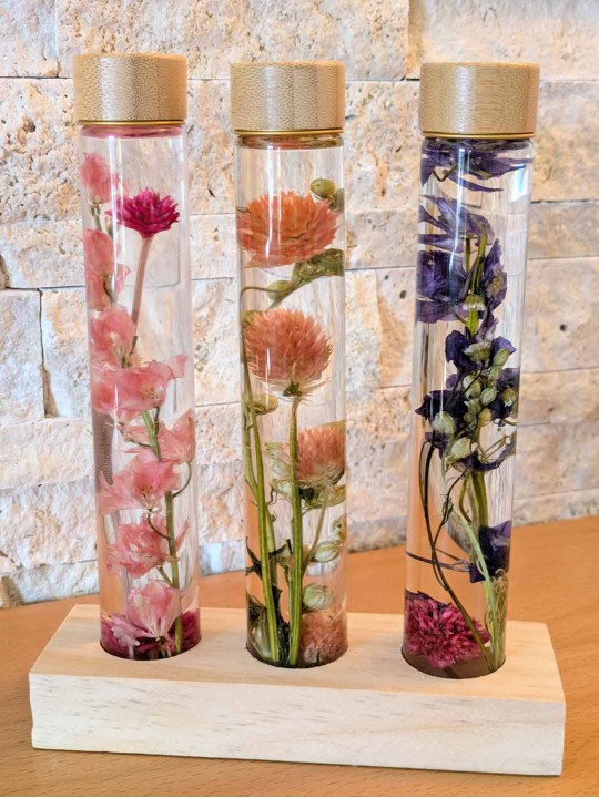 Fleur immergée Rose Fleur immergée Rose