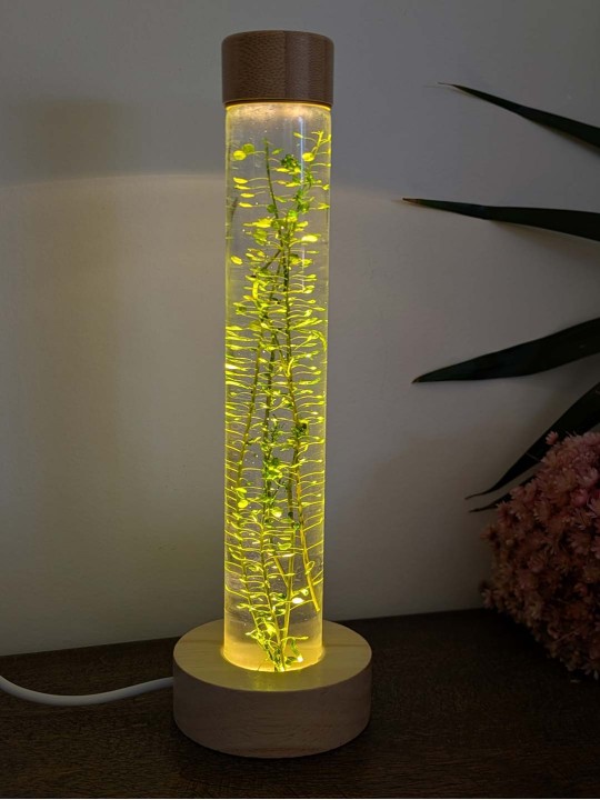 Fleur immergée verte Fleur immergée verte