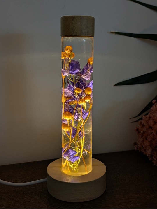 Fleur immergée violette / graines de lin Fleur immergée violette / graines de lin