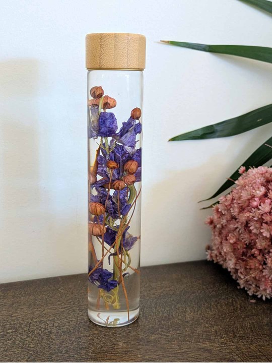 Fleur immergée violette / graines de lin