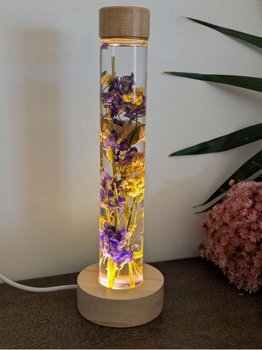 Fleur immergée violette / rose Fleur immergée violette / rose