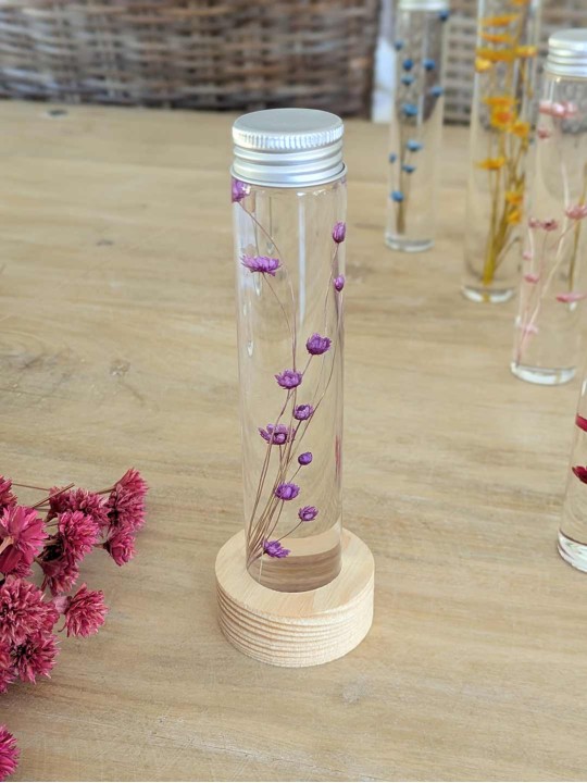 Fleur immergée violette Fleur immergée violette