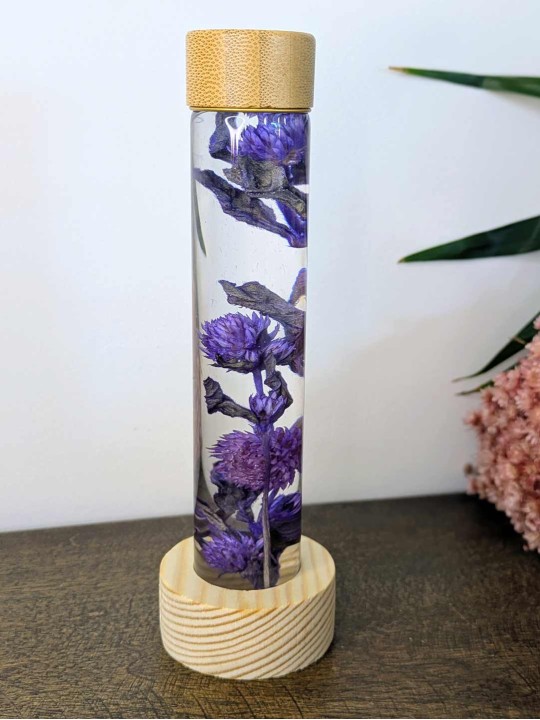 Fleur immergée violette Fleur immergée violette