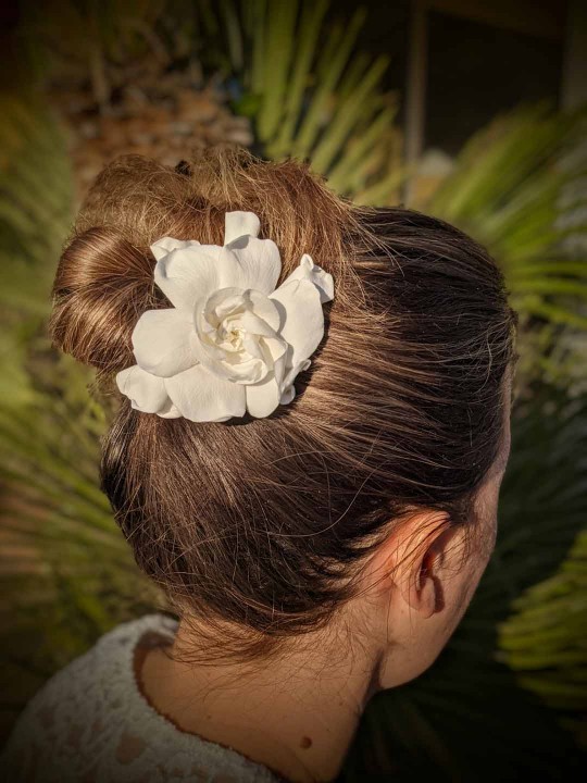 Pince à cheveux en fleur stabilisée blanche Gardenia 