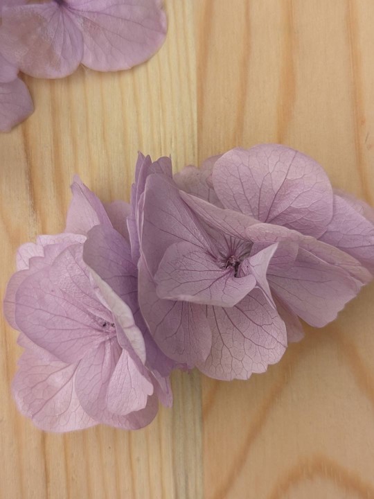 Barrette en grandes fleurs stabilisées hortensia (+20 couleurs)