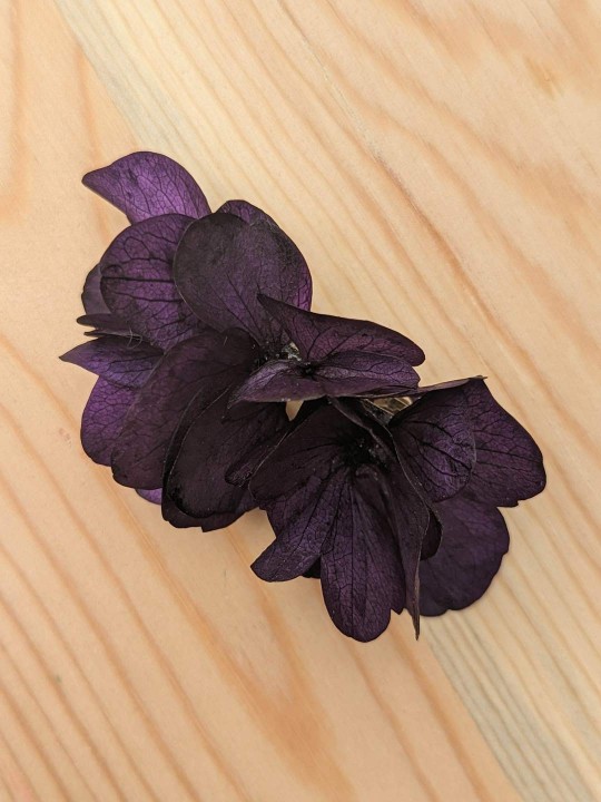 Barrette en grandes fleurs stabilisées, hortensia violet