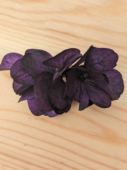 Barrette en grandes fleurs stabilisées, hortensia violet