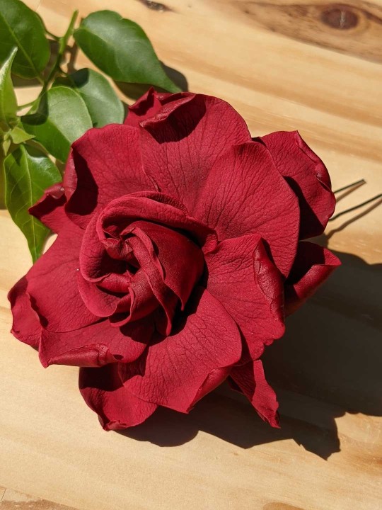 Pince à cheveux en fleur stabilisée rouge Gardenia 